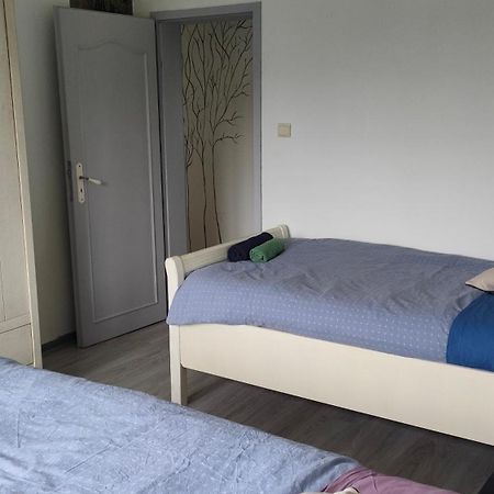 Appartement Les Mirabelles Entre Strasbourg Et Haguenau Bischwiller Eksteriør bilde